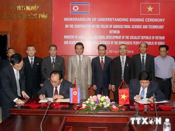 (C) vietnamplus