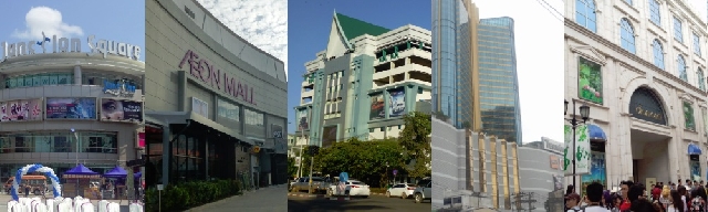 (C) サーベイマイ