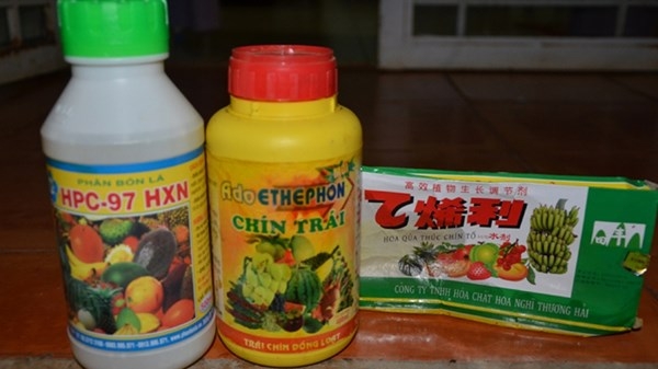 (C) tienphong 果実に薬品を直接注入する