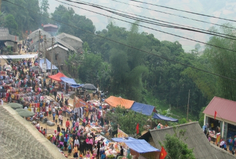 (C) dantri
