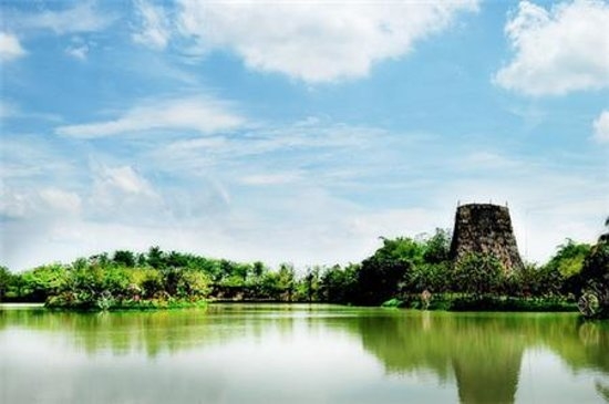 (C) tripadvisor