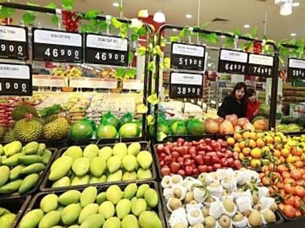 (C) Nhip cau dau tu