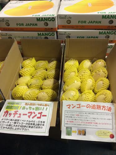 (C) グッドライフ