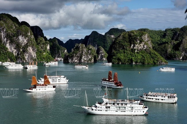 (C) vietnamplus