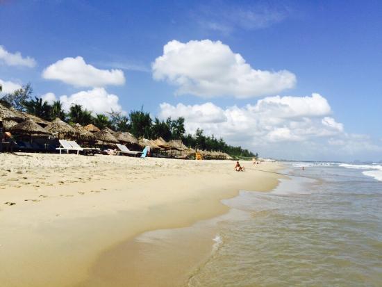 (C) tripadvisor