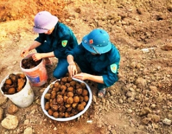 (C)Phao lust plus,Van Linh