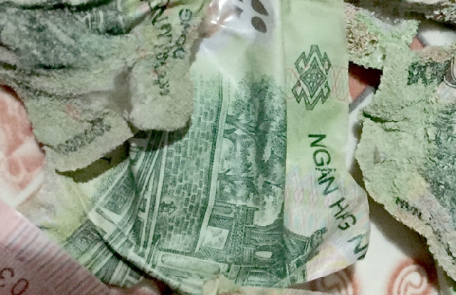 未使用 ルーマニア 高額ポリマー 200レイ紙幣 P-122 ルーマニア・レウ