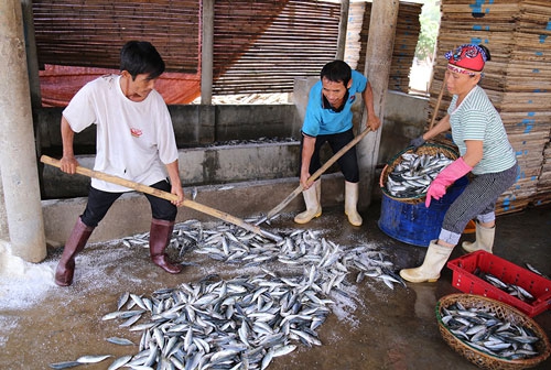 (C) vnexpress, Hoang Tao