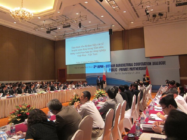 (C) thesaigontimes, Thuc Diem