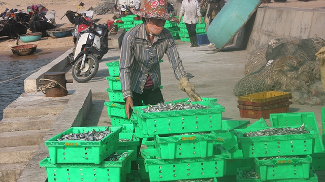 (C) thanhnien, Khanh Hoan