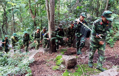 (C) vnexpress, Phuoc Tuan