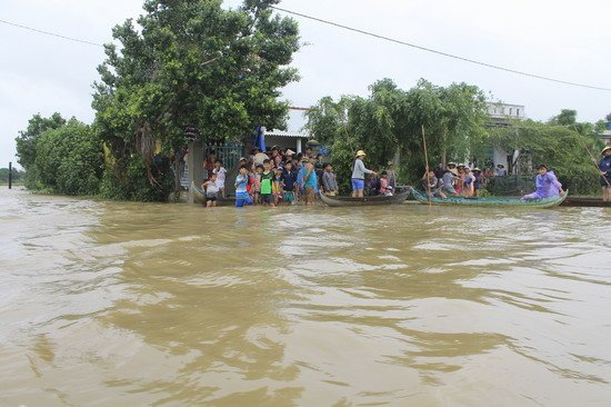 (C) Bao Binh Dinh, Saigon Times 