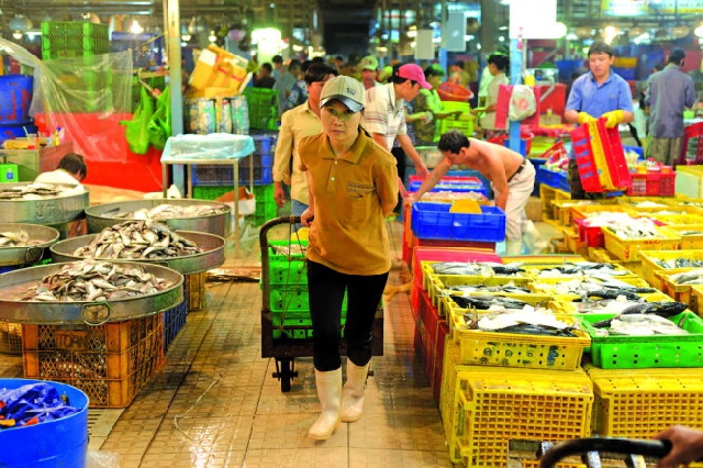 (C)Tuoi tre,Quang Dinh