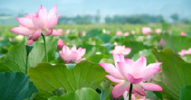 (C) vietnamairlines