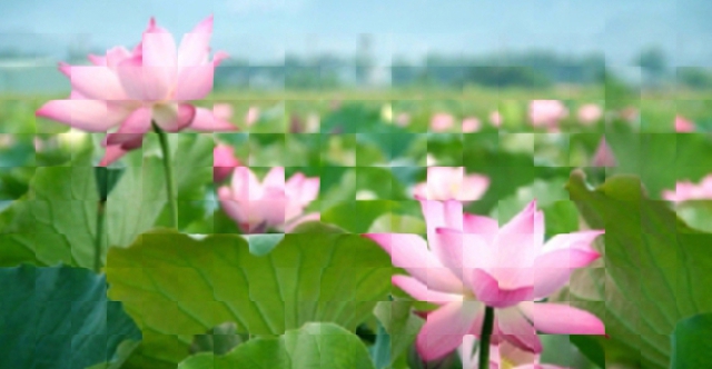 (C) vietnamairlines