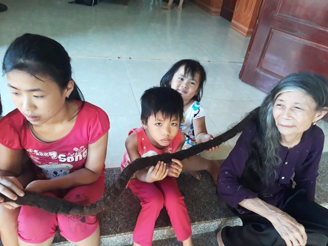 (C) dantri