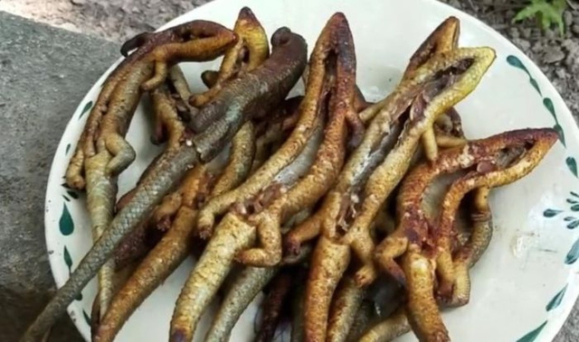 メコンデルタ名物のトカゲ料理はいかが 社会 Vietjoベトナムニュース