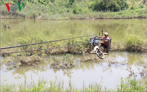 (C) vov.vn