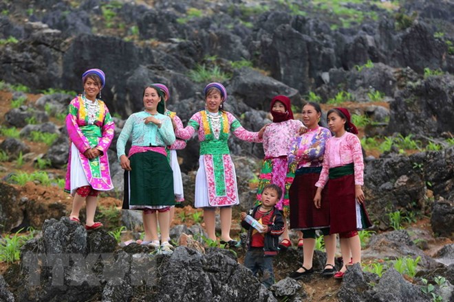 (C) vietnamplus