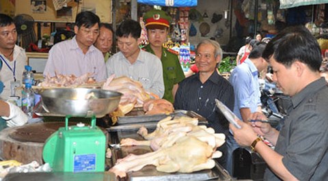 (C) infonet.vn