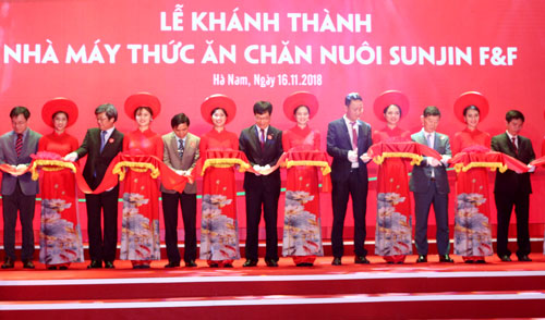 (C) kinhtenongthon