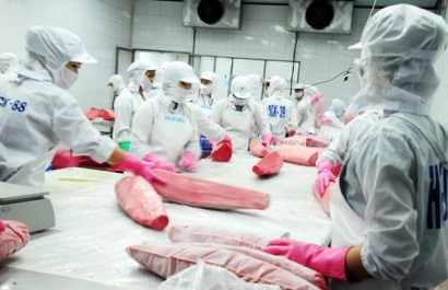 (C) Vietnamnews