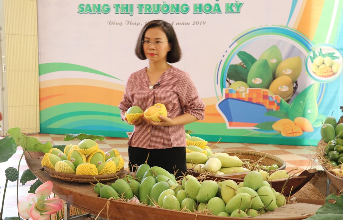 (C) vietnamplus
