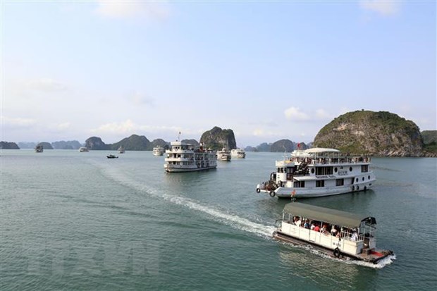 (C) vietnamplus