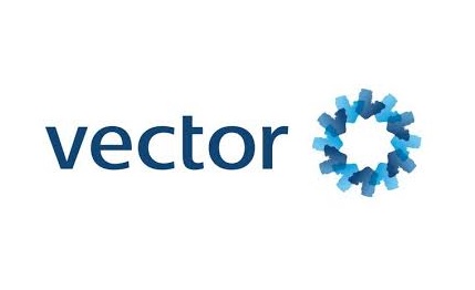(C)　Vector 