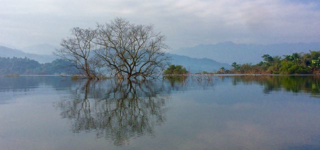 (C) Dan Tri, ブークアン国立公園