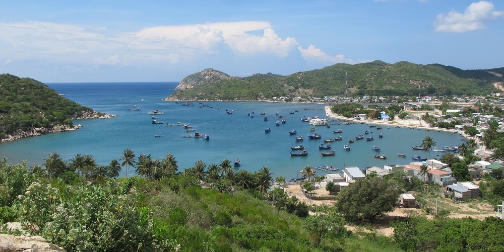 (C) Bao Dau tu