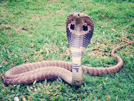 イメージ写真