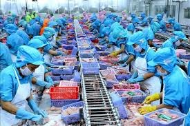 (C)vietnambiz