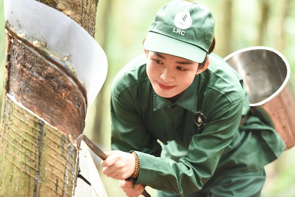 (C) Vietnam Rubber Group