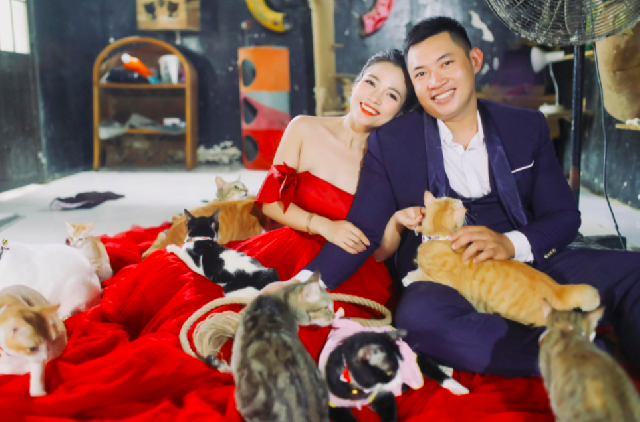ペット救助隊のカップル 犬猫300匹に囲まれながら結婚 社会 Vietjoベトナムニュース ペット救助隊のカップル 犬猫300匹に囲まれながら結婚 社会 Vietjoベトナムニュース