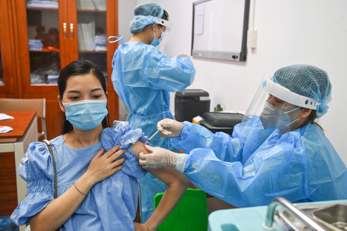 (C)　vnexpress
