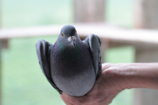 イメージ写真