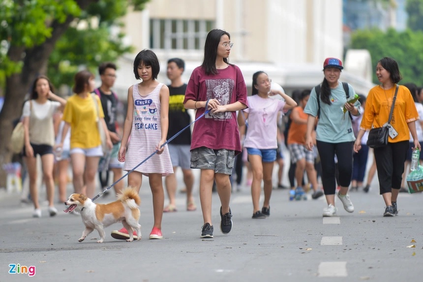 (C)Zing