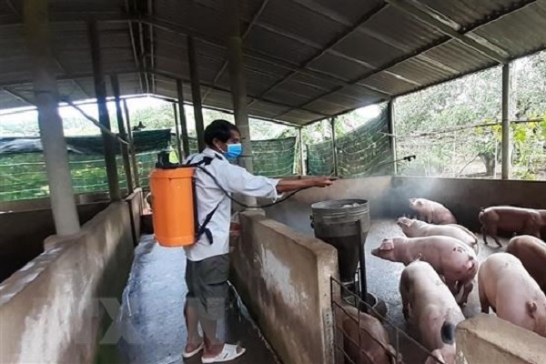 (C) vietnamplus