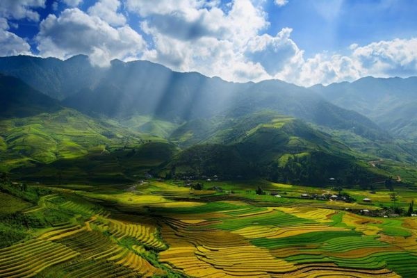 (C) baochinhphu