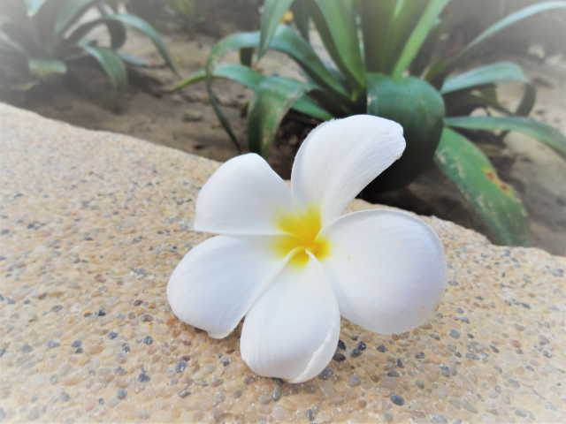 イメージ写真