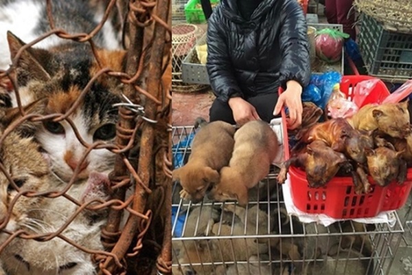 (C) phunuvietnam