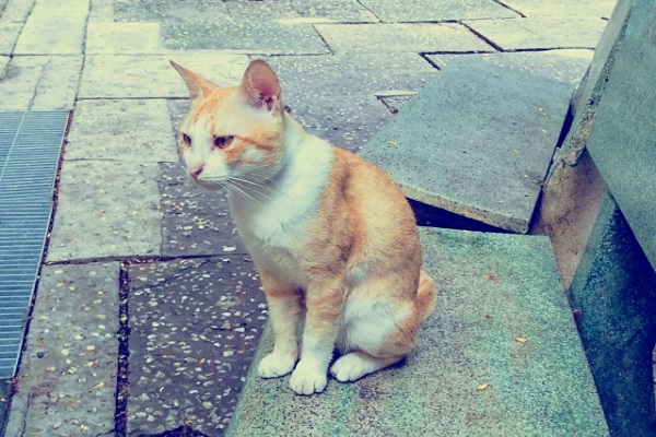 イメージ写真