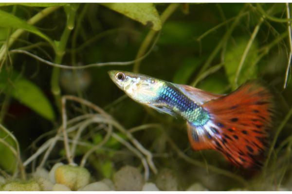 イメージ写真