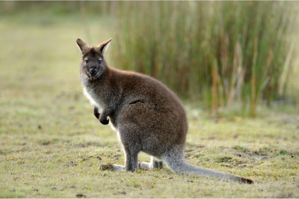 イメージ写真