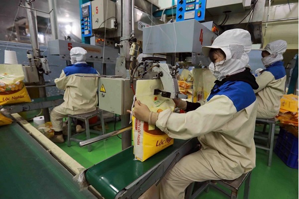 23年のベトナム産コメ輸出量と輸出額、ともに過去最高を記録 [経済] - VIETJOベトナムニュース