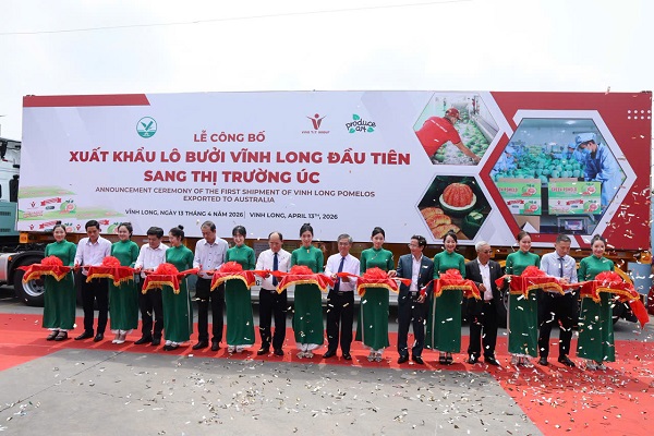 (C) kinhtesaigon
