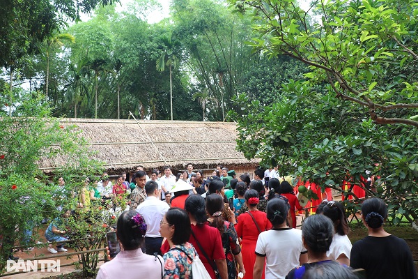 (C) dantri