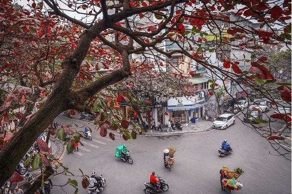 (C) So Xay Dung Ha Noi