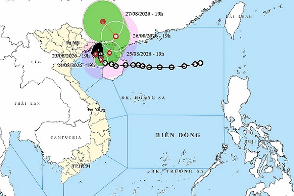 (C) NCHMF